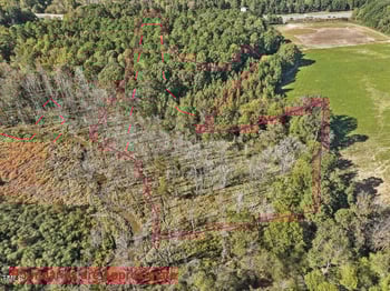 177 Karen Calhoun Rd, Pittsboro, NC 27312