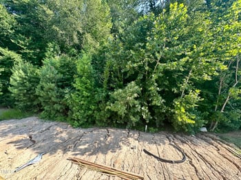 177 Millwood Dr, Clayton, NC 27527