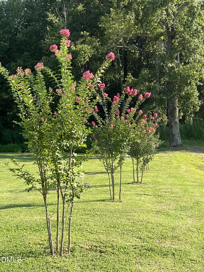 177 Ruskin Dr, Smithfield, NC 27577