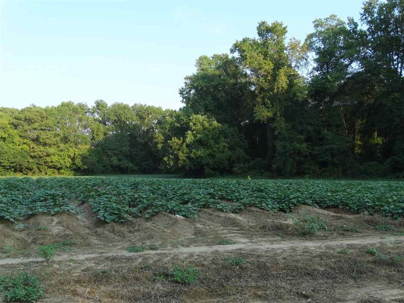 1784A Boyette Rd, Four Oaks, NC 27524