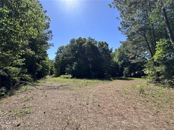 179 Woods Edge Ln, Erwin, NC 28339