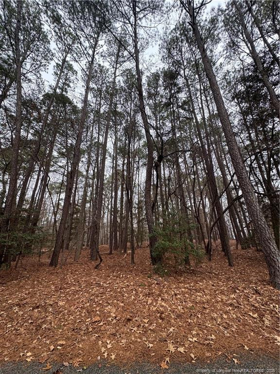 1790 Irish Blvd, Sanford, NC 27332