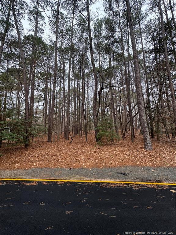 1790 Irish Blvd, Sanford, NC 27332