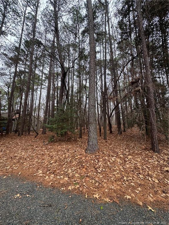 1790 Irish Blvd, Sanford, NC 27332
