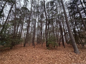 1790 Irish Blvd, Sanford, NC 27332