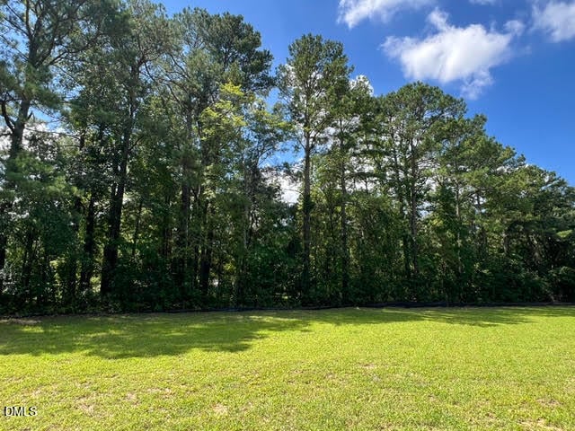 18 Alex Acres Way, Selma, NC 27576