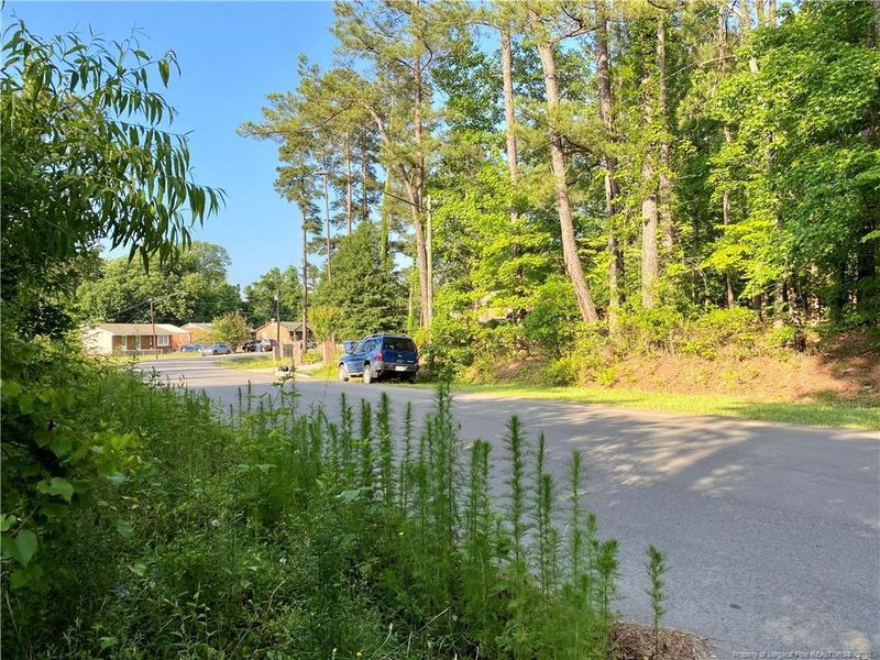 18 W Rose St, Sanford, NC 27330
