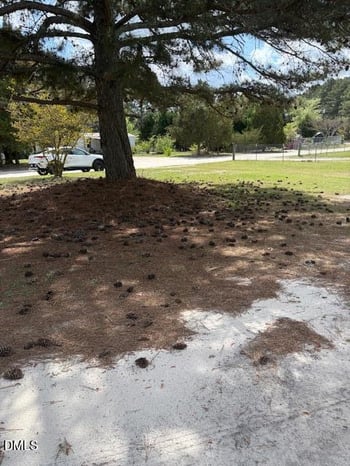 180 Dusty Dr, Candor, NC 27229