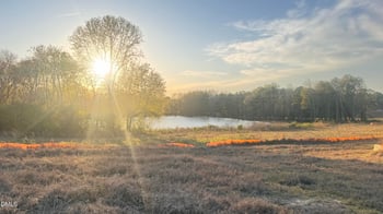 180 Galway Rd, Lillington, NC 27546