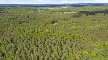 180 Great Woods Ln, Youngsville, NC 27596