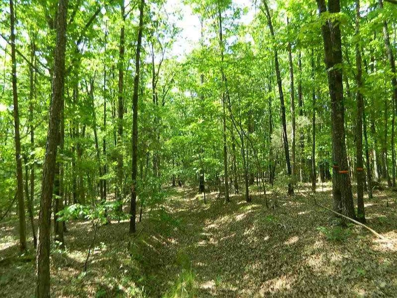180 Osprey Ridge Dr Lot 8A, Chapel Hill, NC 27515