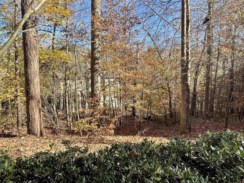18005 Hyde Lot 998, Chapel Hill, NC 27517