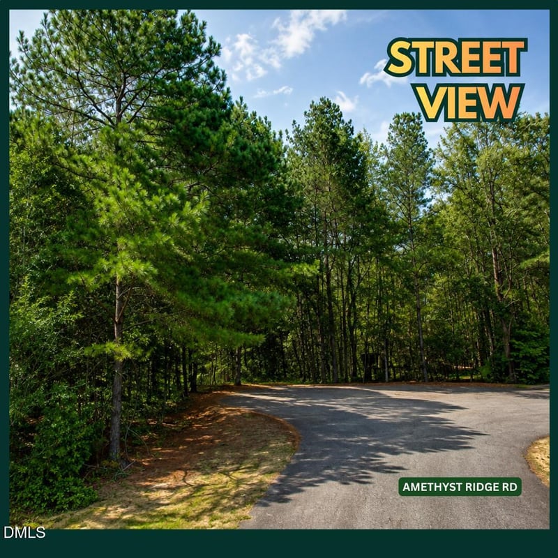 1804 Amethyst Rdg Dr Lot 9, Raleigh, NC 27604