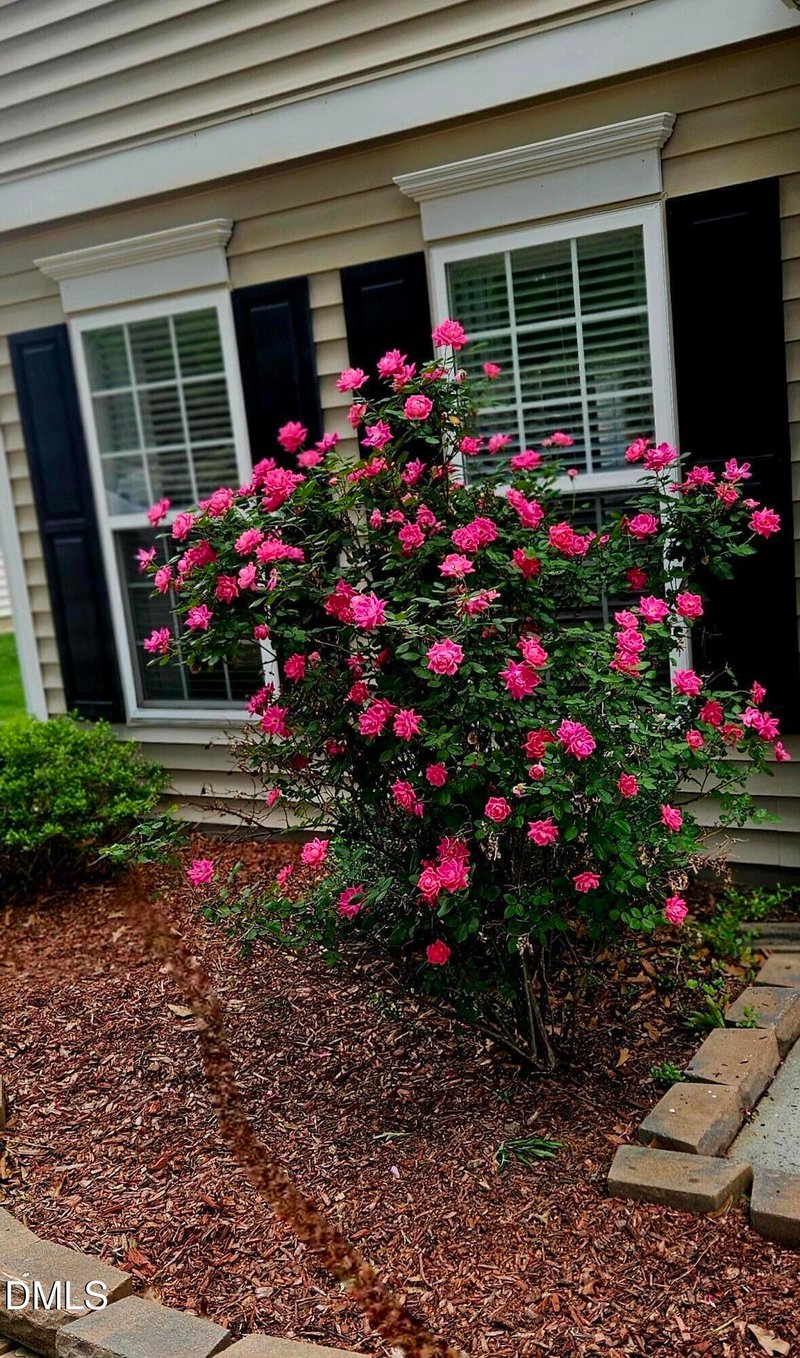 1804 Cedar Grove Dr, Durham, NC 27703