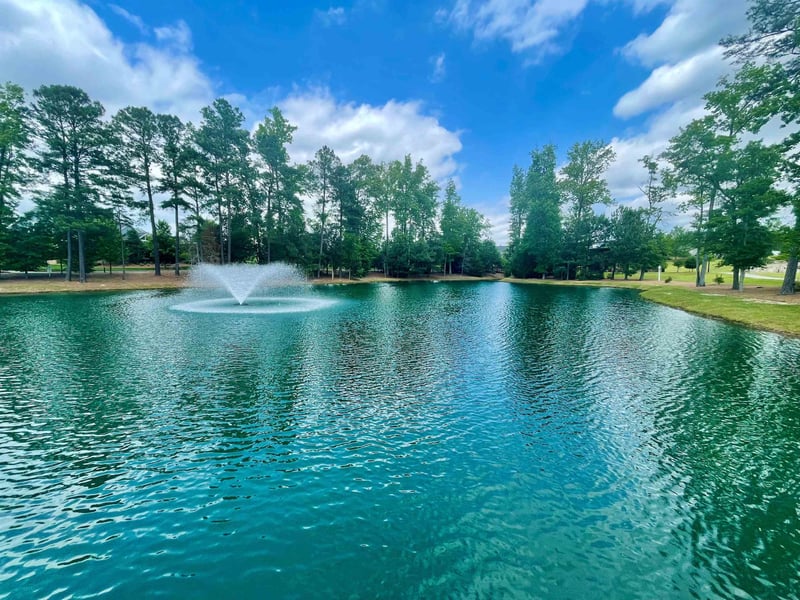 1808 Lumineer Ln, Wendell, NC 27591