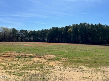 181 Big Pine Rd, Clayton, NC 27520