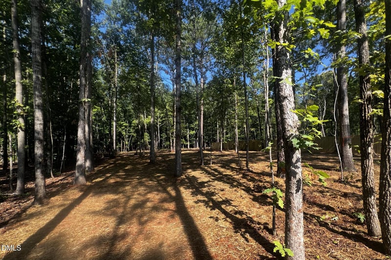 181 Bullseye Ct, Middlesex, NC 27557