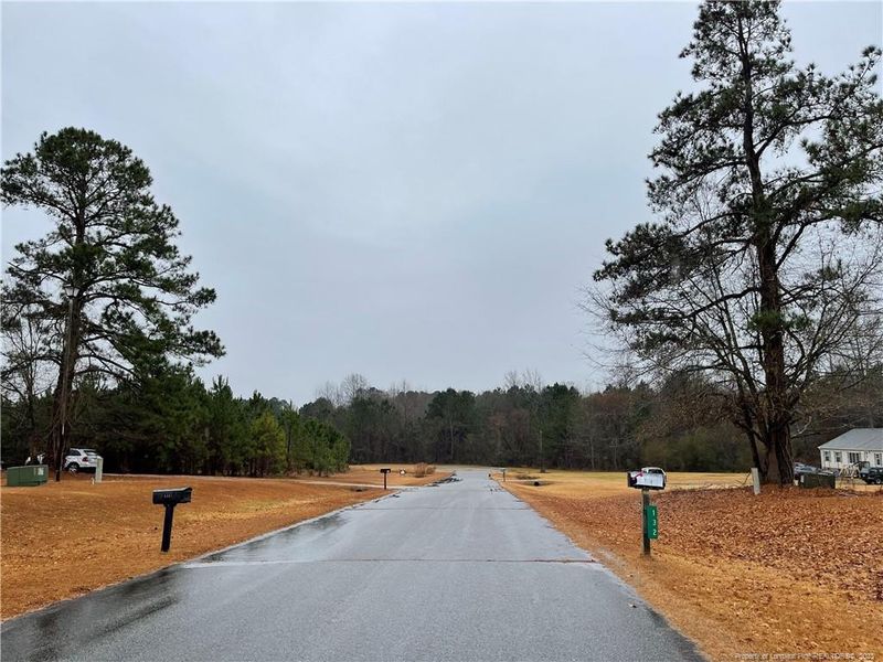 181 Rad St, Lillington, NC 27546