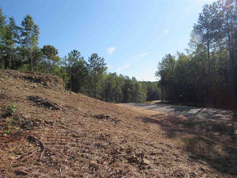 1816 Lyra Pl Lot 2, Wake Forest, NC 27587