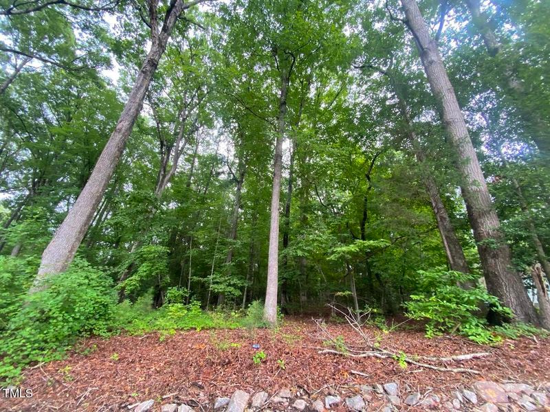 1816 Rye Rd Lot 1816, Sanford, NC 27332