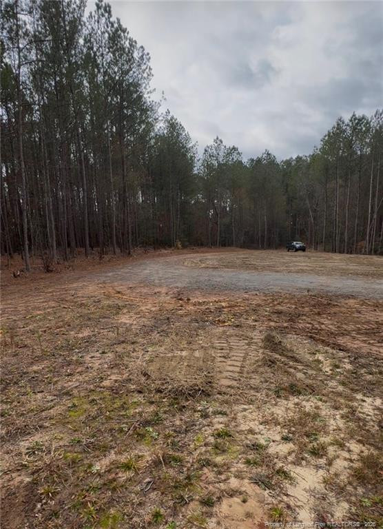 183 Thistlecone Ln, Sanford, NC 27330