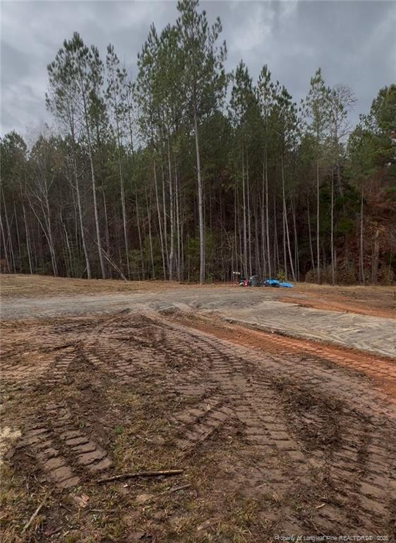 183 Thistlecone Ln, Sanford, NC 27330