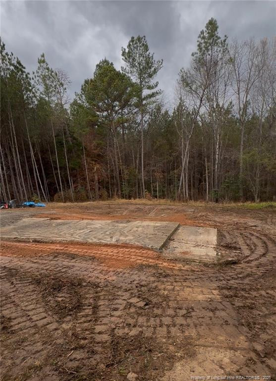 183 Thistlecone Ln, Sanford, NC 27330