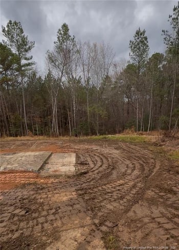 183 Thistlecone Ln, Sanford, NC 27330