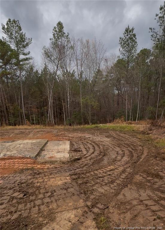 183 Thistlecone Ln, Sanford, NC 27330