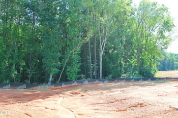 183 S Waterstone Ln, Clayton, NC 27520