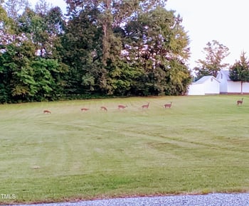 1837 Garrett House Trl, Burlington, NC 27215