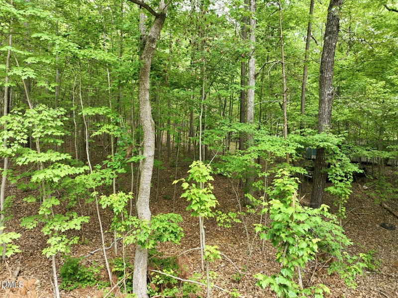 1841 Dots Dr, Hillsborough, NC 27278