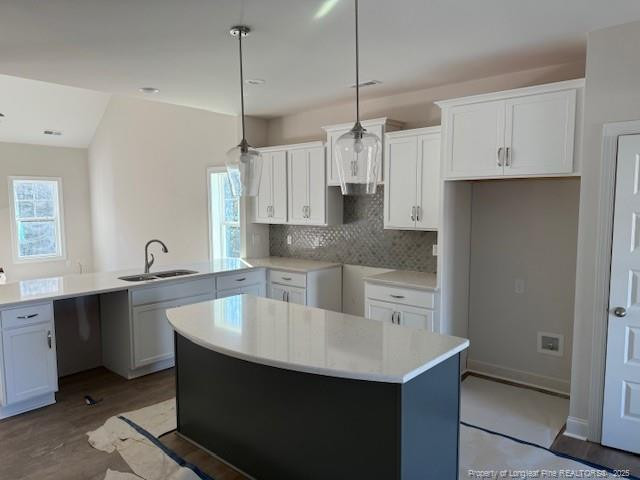 186 Surles Landing Way, Benson, NC 27504