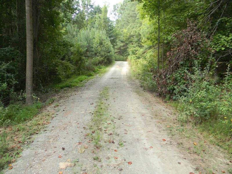 1879 Andrews Store Rd, Pittsboro, NC 27312