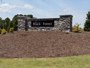 188 Black Forest Pointe Trl #48, Benson, NC 27504