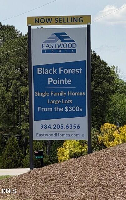 188 Black Forest Pointe Trl #48, Benson, NC 27504