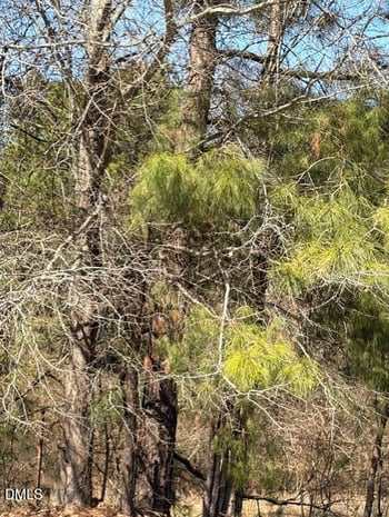 1880 Clayhole Rd Lot 6, Dunn, NC 28334