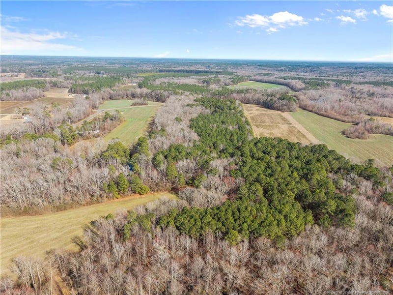 1896 - 0 Clark Rd, Lillington, NC 27546