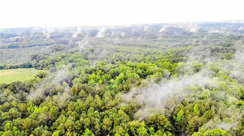 1896 - 0 Clark Rd, Lillington, NC 27546