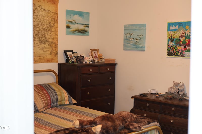 19 Marie Ct, Willow Springs, NC 27592