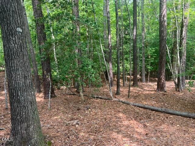 190 Buckaroo Dr Lot 1970, Louisburg, NC 27549