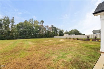 190 Heart Pine Dr, Wendell, NC 27591