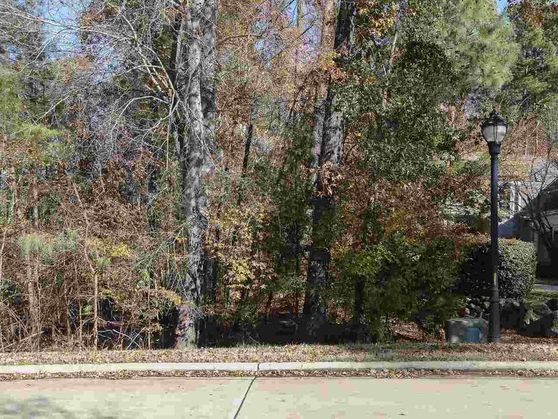19016 Stone Brook Lot 965, Chapel Hill, NC 27517