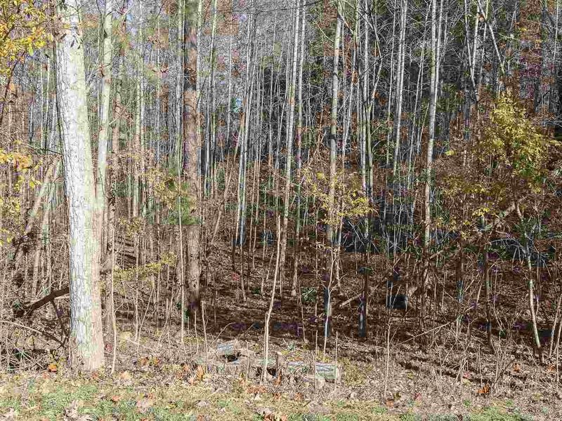 19016 Stone Brook Lot 965, Chapel Hill, NC 27517