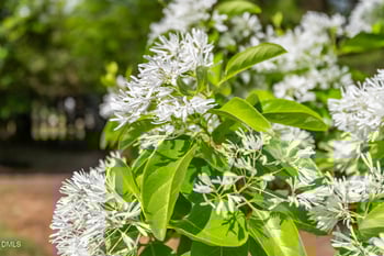 1902 White Plains Rd, Chapel Hill, NC 27517