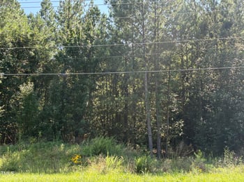 1907 Cornwallis Rd, Durham, NC 27713