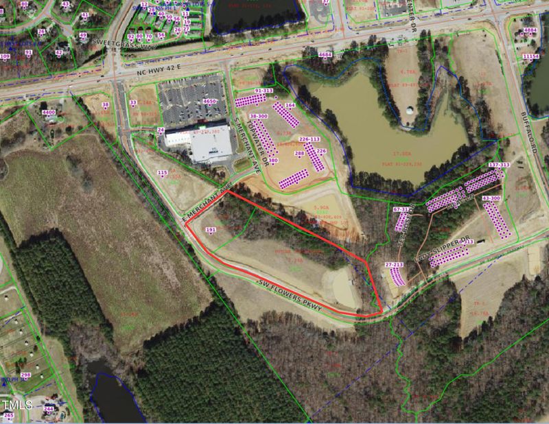 191 SW Flowers Pw, Clayton, NC 27527