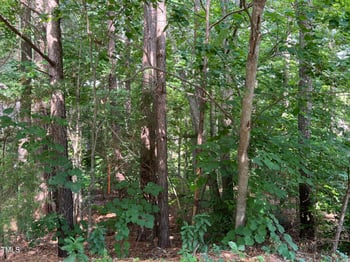 19102 Stone Brook Lot 1002, Chapel Hill, NC 27517