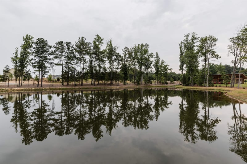 1913 Cedar Dam Ln, Wendell, NC 27591