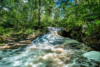 1913 Cedar Dam Ln, Wendell, NC 27591